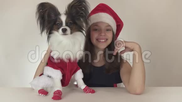 美丽的少女和狗穿着圣诞老人服装的美洲玩具斯帕尼尔帕皮隆欢快地亲吻和愚弄视频的预览图