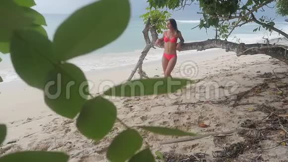 一个年轻女孩穿着泳装比基尼在海滩上的海洋背景的肖像慢动作视频的预览图