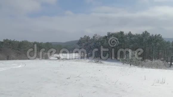 冬季积雪覆盖的森林边缘视频的预览图
