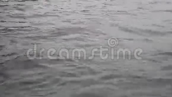 索契夏季的海边视频的预览图