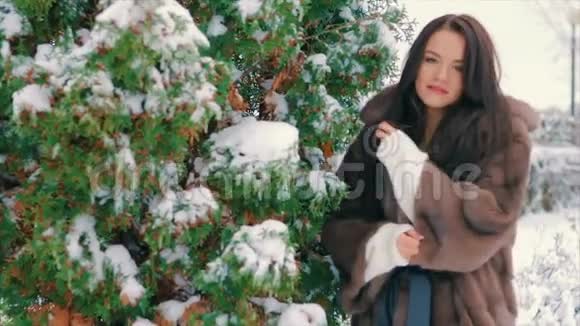 冬天在白雪覆盖的树木附近穿着棕色毛皮外套的时髦女孩慢动作视频的预览图