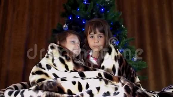 孩子们坐在圣诞树附近的地毯下两个小女孩被一条斑点毯子覆盖着两个姐妹玩游戏视频的预览图