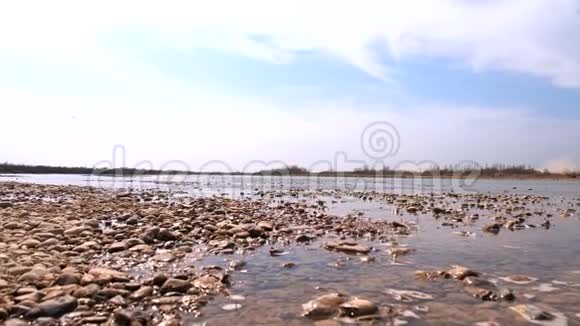 河滨附近浅水视频的预览图