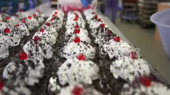准备好的海绵蛋糕和巧克力片视频的预览图