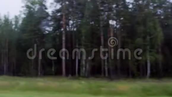 阴郁黑暗的森林视频的预览图