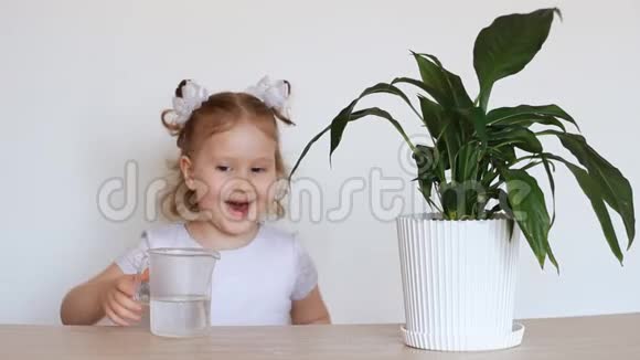 小女孩和绿色植物一个孩子在浇花和玩花辣酱视频的预览图