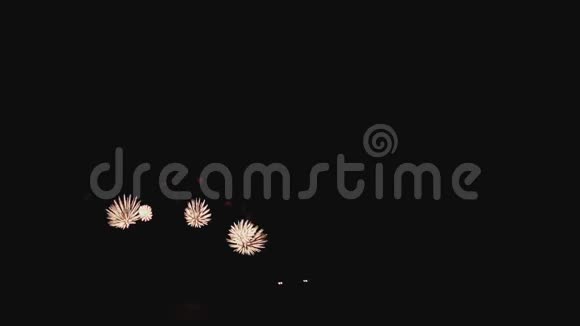 美丽的烟花在假日之夜缓慢的运动与交叉空间在右边视频的预览图