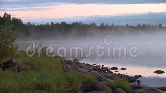 雾在湖上视频的预览图