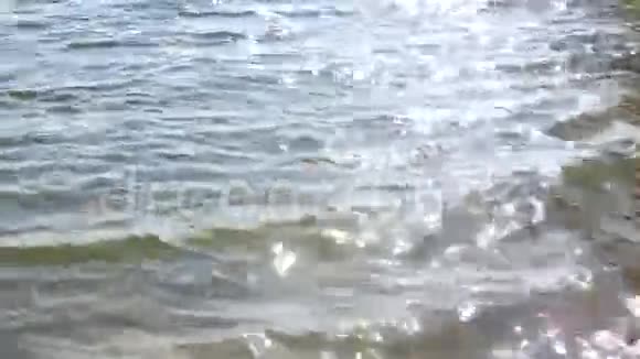 水闪闪发光视频的预览图