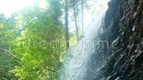 瀑布山木林视频的预览图