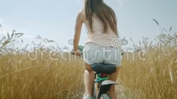 女人在麦田里骑自行车视频的预览图