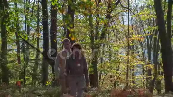 星期天在秋天漫步在树林里视频的预览图