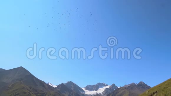 一群鸟飞在雪山和高加索山脉风景如画的山谷上视频的预览图