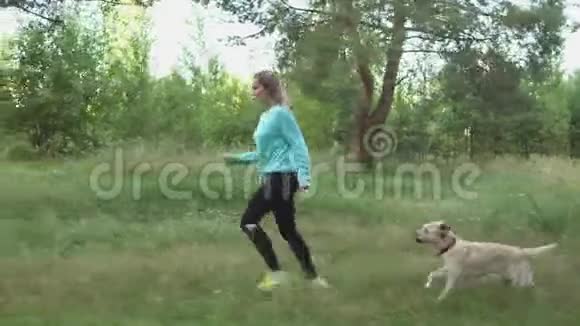 在温暖的夏天小女孩和她的纯种狗穿过树林视频的预览图