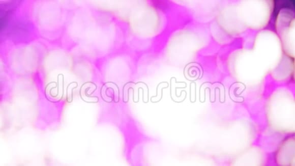 抽象的孤立的模糊的节日灯光观叶植物叶影在风中摇曳带着粉红色的粉彩色调视频的预览图