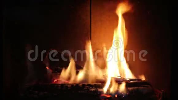 壁炉视频的预览图