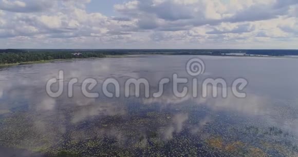 湖水百合海藻飞行和松林视频的预览图