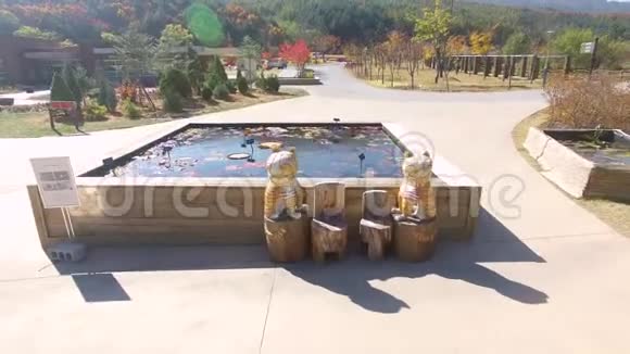 韩国邦瓦庆尚布克多的白杜达根树木园秋视频的预览图