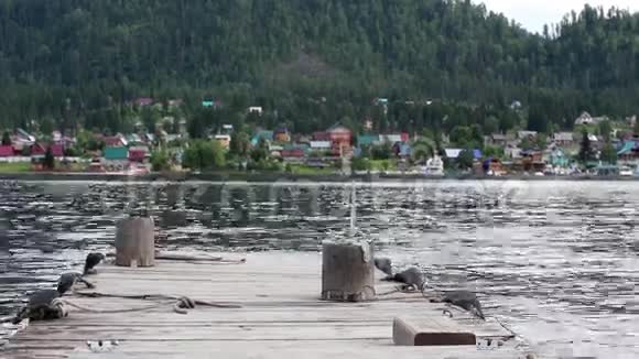 夏季从湖上的码头俯瞰视频的预览图