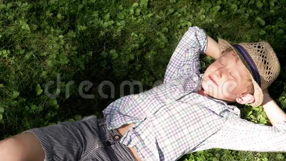 躺在草地上在温暖的阳光下放松的小家伙视频的预览图