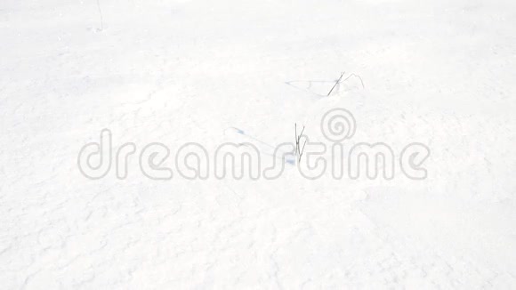 穿雪鞋的人腿在雪地里行走雪堆冬季徒步旅行的细节雪鞋与徒步旅行杆和鞋套粉末视频的预览图