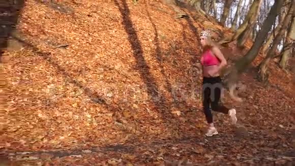 沿着秋天公园慢跑的苗条女运动员的侧面完整的视野视频的预览图