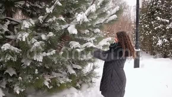 一个快乐的怀孕女孩在冬天的公园里散步视频的预览图