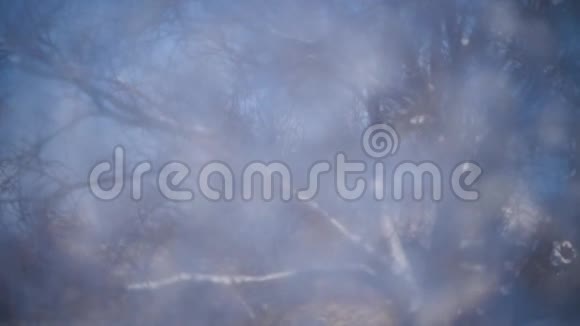 从白雪皑皑的树木到窗户玻璃上的霜冻图案的耙视频的预览图