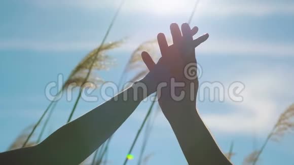 年轻的恋人牵手太阳视频的预览图