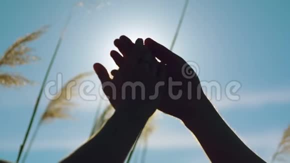 年轻的恋人牵手太阳视频的预览图