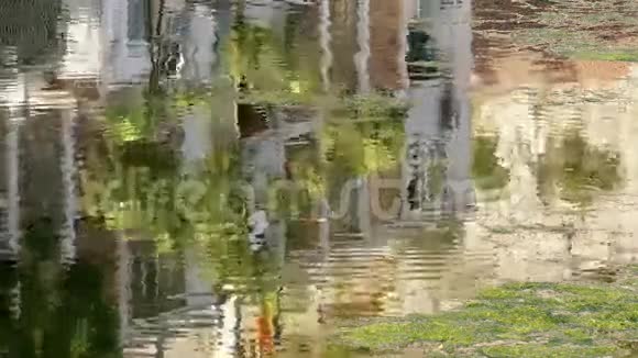 水反射背景房子树涟漪4k视频的预览图