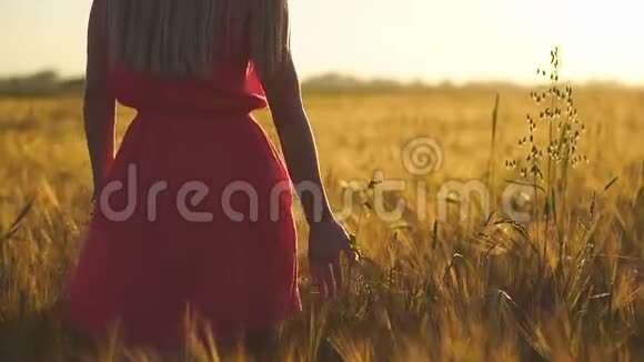 日落时分在麦田里散步的年轻女子视频的预览图