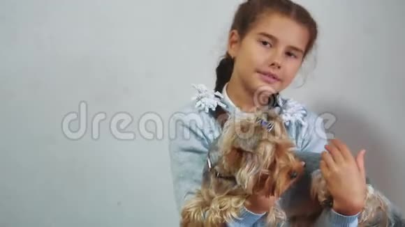 小女孩抱着一只猫在怀里的生活方式科什和女孩宠物友谊的关心和爱儿童和宠物猫视频的预览图
