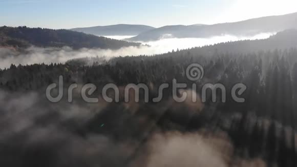 喀尔巴阡山脉的雾状秋晨令人惊叹的森林日出美景视频的预览图
