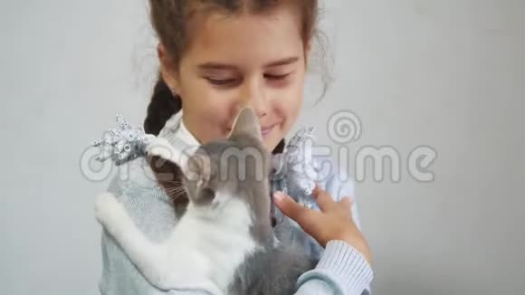 小女孩怀里抱着一只猫科什和女孩宠物友谊的关心和爱儿童及宠物猫概念视频的预览图