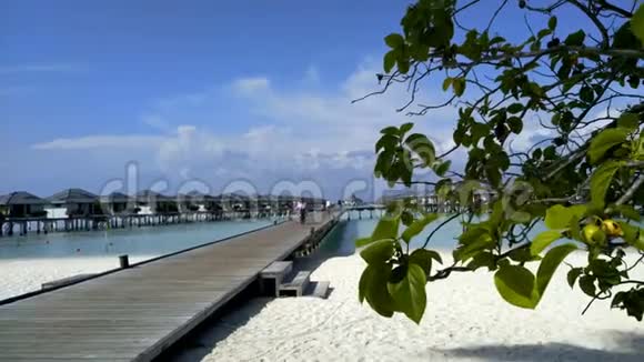码头越过蓝色的海洋通向一个美丽的岛屿白色的海滩和棕榈树视频的预览图