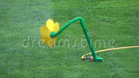 工作时以花的形式自动浇水装置视频的预览图