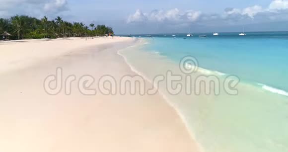 海景海浪绿棕榈树沙滩视频的预览图