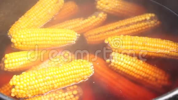 煮玉米视频的预览图