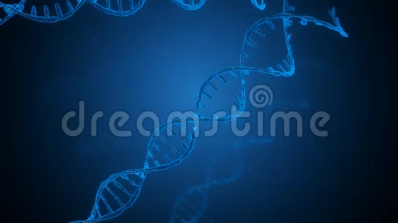 DNA双螺旋三维动画视频的预览图