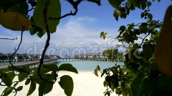 码头越过蓝色的海洋通向一个美丽的岛屿白色的海滩和棕榈树视频的预览图