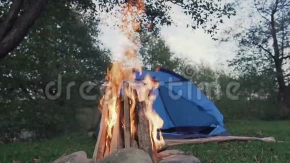 河边森林里的篝火和旅游帐篷视频的预览图