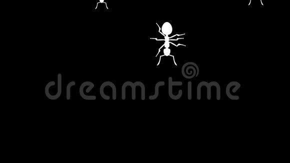 入侵蚂蚁视频的预览图