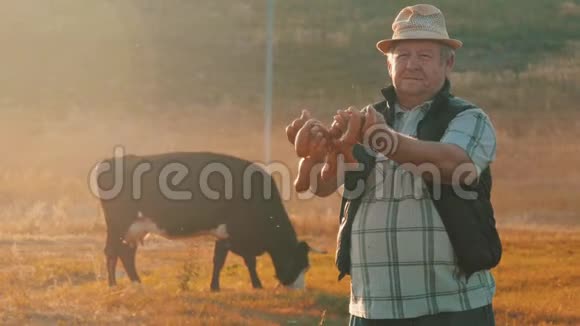 快乐的成年农夫微笑着看着镜头手里拿着香肠手里拿着一群奶牛在农场的牛棚里农业视频的预览图