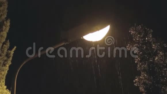雨中寂寞的灯笼视频的预览图