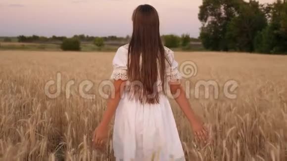 一个快乐的女孩走过一片黄色的麦子用自己的手触摸麦子的耳朵慢动作女孩视频的预览图