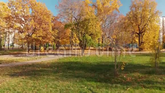 俄罗斯莫斯科10月17日2018Zelenograd秋季公园视频的预览图