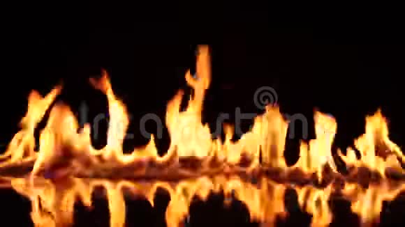 在黑色背景下点燃和燃烧真正的火焰视频的预览图