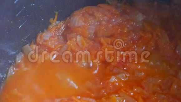 胡萝卜和洋葱用锅烤素食视频的预览图