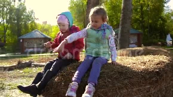 两个小女孩坐在干草堆上扔干草视频的预览图